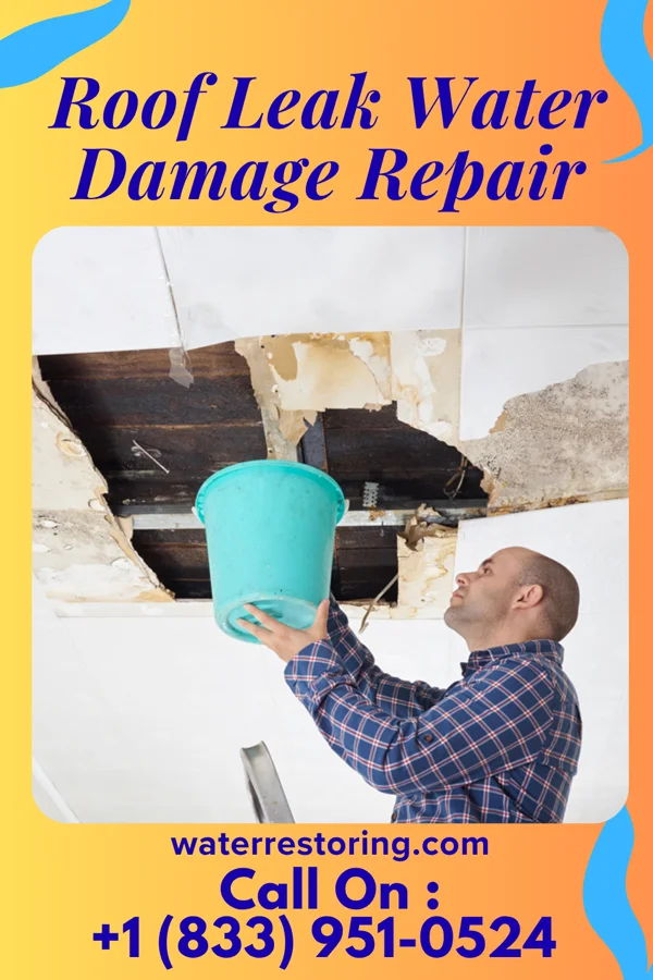 Roof Leak Water Damage Repair in Burbank, OK